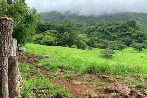 Fincas ganaderas en chame