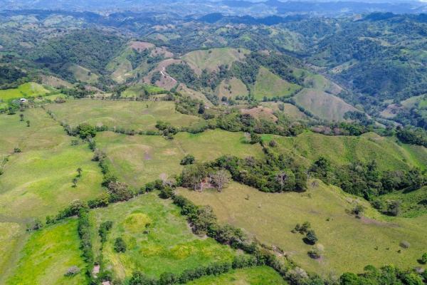 Amplia propiedad de 146.652 ha con fuentes de agua