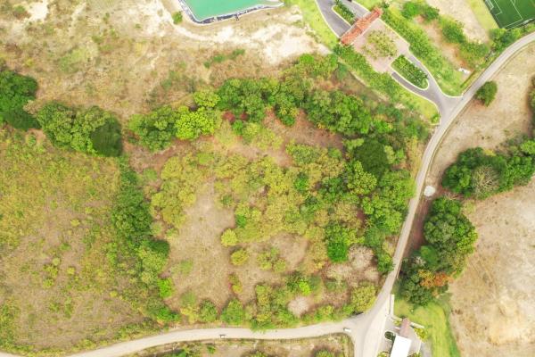 Prime flat lot near buenaventura – playa blanca