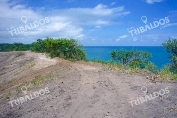 Playa las uvas