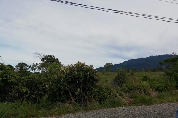 Amplios 5 hectáreas en venta en alto boquete