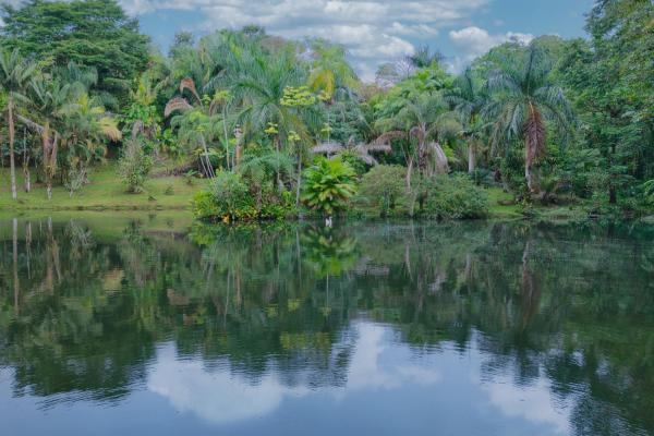 Finca residencial de 3,69 hectáreas con lagos, río y bosque.