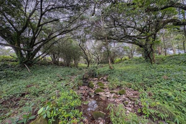 Spacious 9,229 m² flat lot in alto boquete