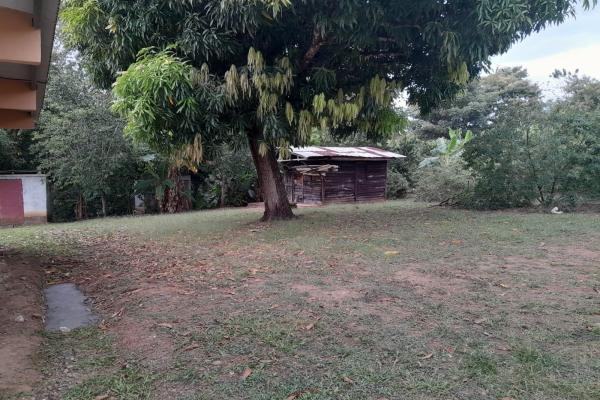 Sale of a property on the inter-american highway