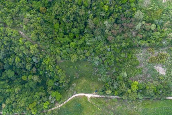 22 hectares with creek and mountain views