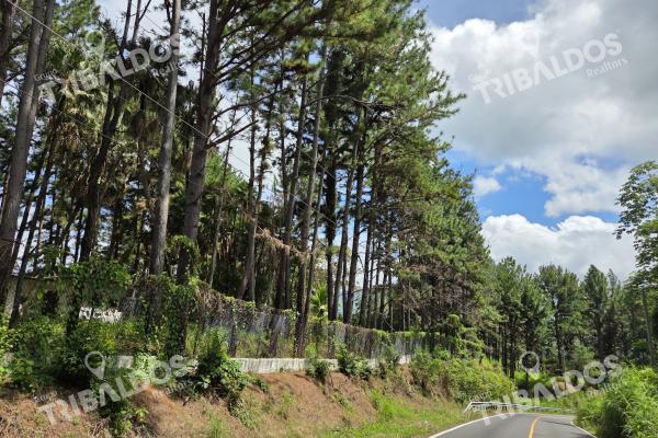 Venta de terreno en sora bejuco