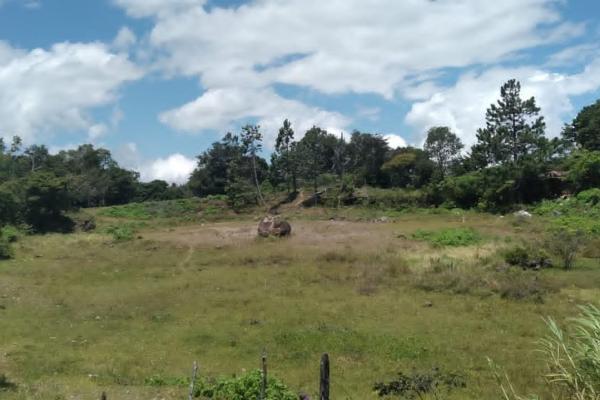 Land for sale in volcancito chiriqui