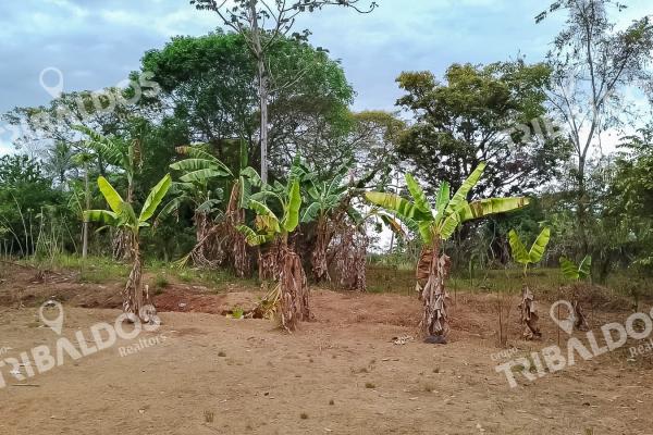 Se vende terreno en pedregal