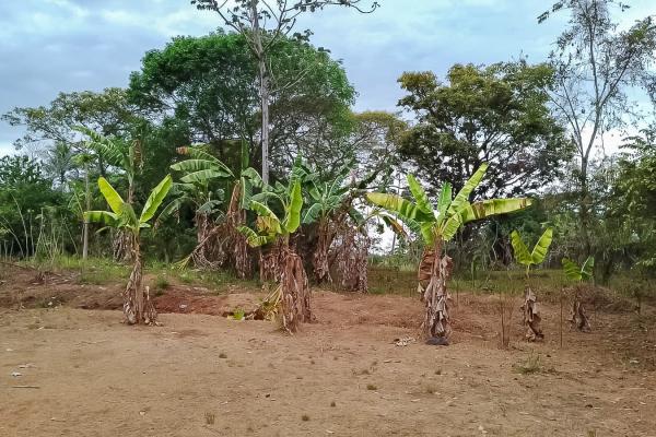 Se vende terreno en pedregal