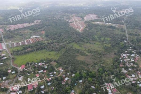 Venta de terreno para desarrollo de casas en arraijan
