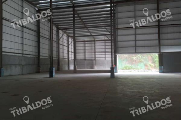 Alquiler de galera en las mañanitas