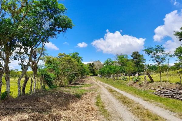 Expansive 146.652 ha property with water sources