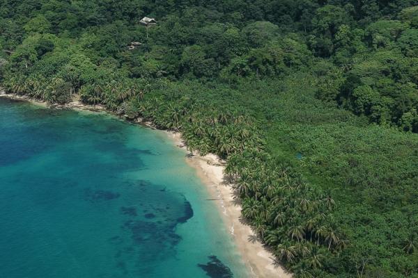 Propiedad boscosa frente al mar de 2,4 hectáreas en drago