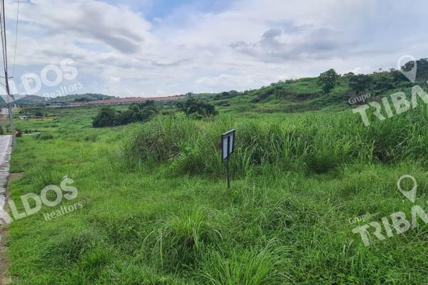 Se vende terreno para desarrollo residencial