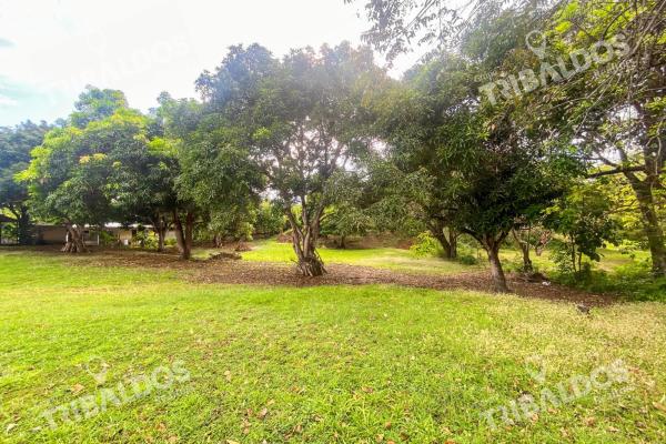 Venta de terreno en punta barco