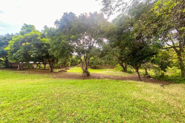 Venta de terreno en punta barco