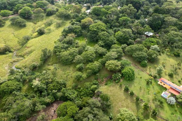 Se vende 2.02 hectareas planas en las lajas chiriqui