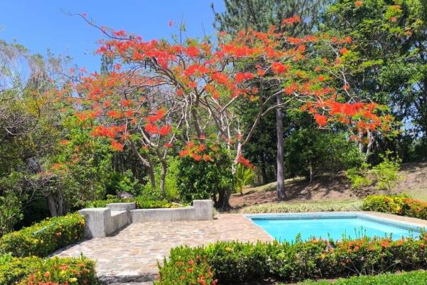 Hacienda de campo en 10.17 hectáreas, sorá