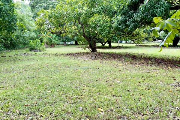 Venta de terreno en gorgona