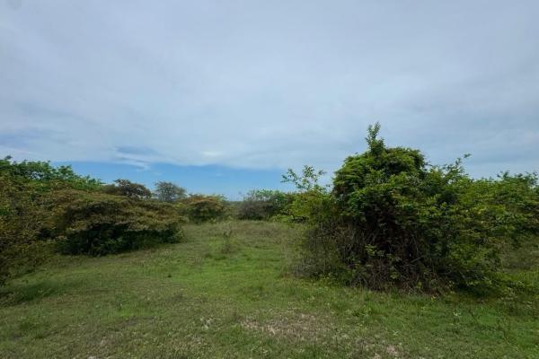 Venta de terreno de 9.9 hectáreas cerca de playas en el higo, san carlos
