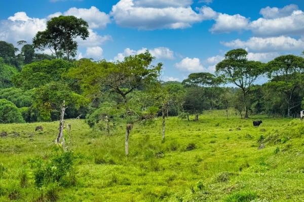 Naturaleza, espacio y potencial en un solo lugar