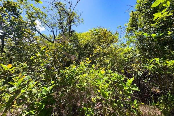 Spacious 59,086 m² land in síndigo, caldera