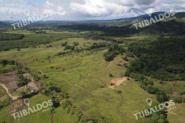 Se vende finca ganadera en margarita de chepo