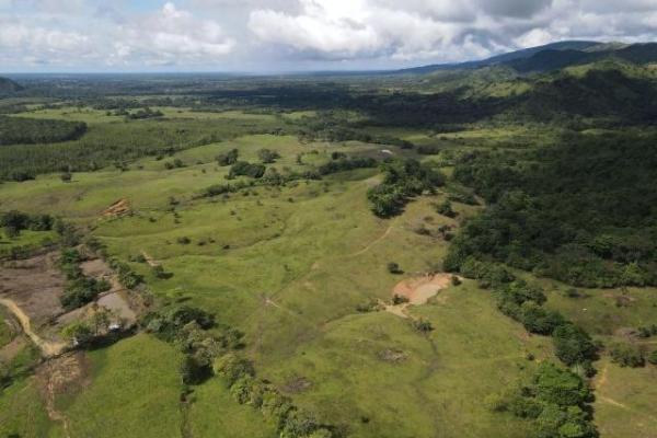 Venta de finca margarita chepo 200 has