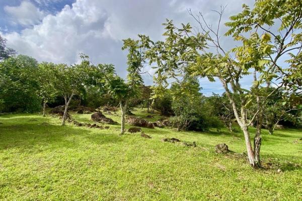 Mountain finca in chica