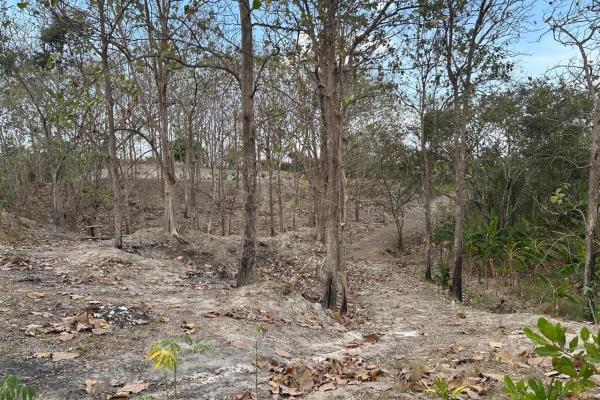 Piedras gordas land 1.1 htas