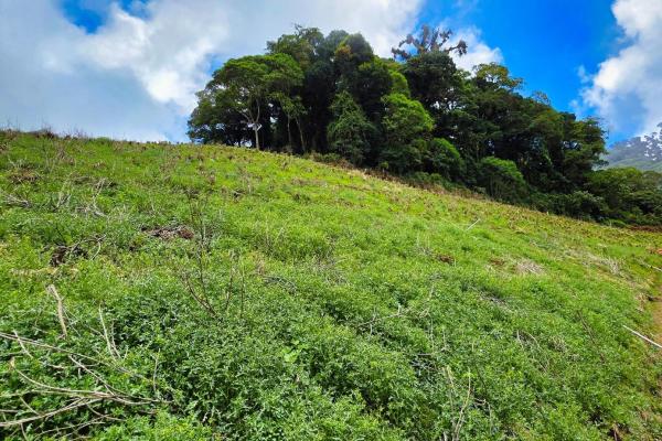 Finca agrícola en venta – cerro punta, chiriquí