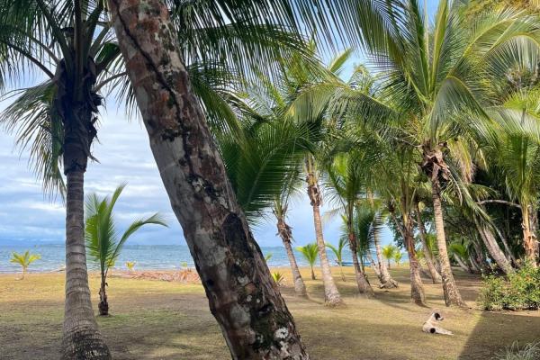 Beachfront off-grid home for sale