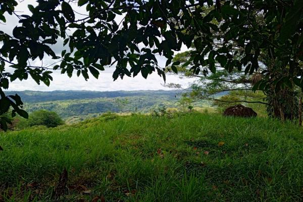 Finca en santa rosa para ganadería y agricultura