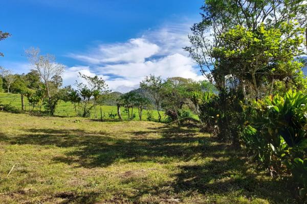 Lote privilegiado en venta en volcán