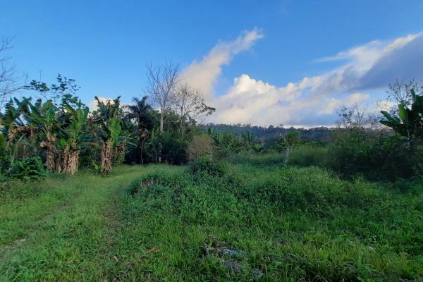 Finca productiva de 20.55 hectáreas con agua viva y excelente ubicación