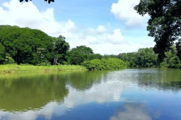 Lot for sale in guabala with river, estuary