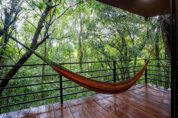 Beautiful modern jungle home for sale in morrillo