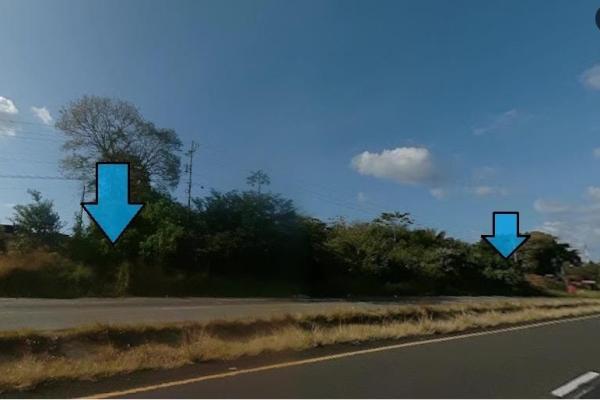 Finca de 9.9 has, en el espino, sobre la panamericana
