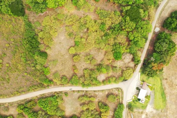 Prime flat lot near buenaventura – playa blanca