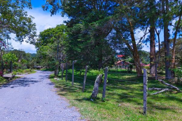 Experience the peace of volcán | land with a natural creek