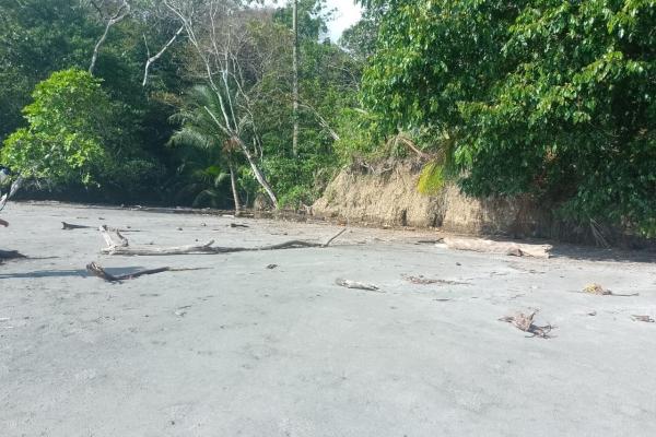Terreno 69 hectareas en puerto armuelles, limones oportunidad de inversión