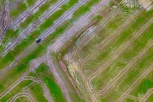 Operating rice farm for sale