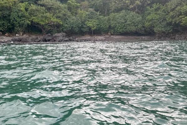 67-hectare oceanfront sanctuary in arena, veraguas