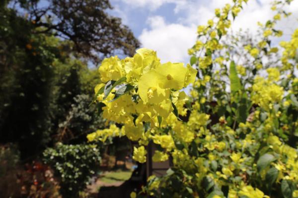 Spacious volcancito property for sale near boquete