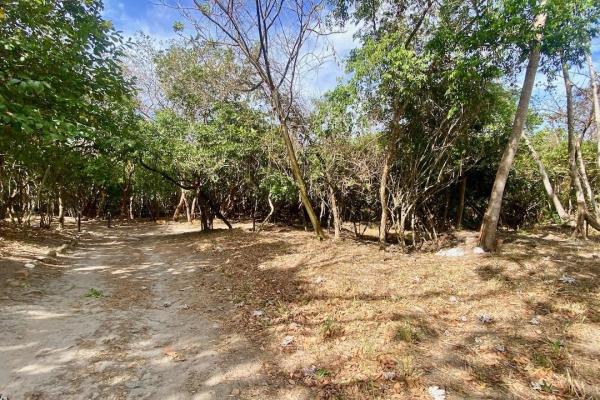 Finca de 4.3 hectareas – proyecto ideal comunidad