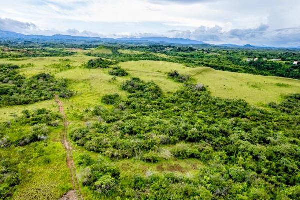 Ocean-view riverfront land-40.66 ha in san carlos
