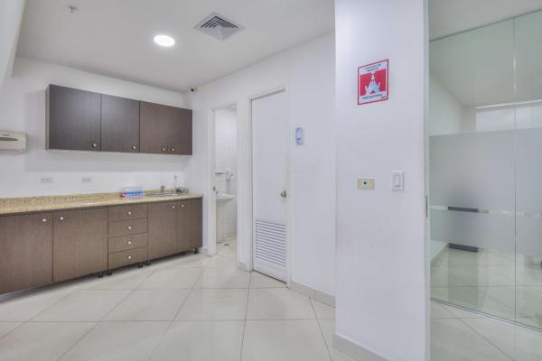 Commercial office for sale in obarrio ph sl – 55