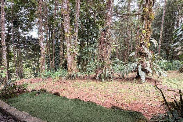 House for sale in el nido, cerro azul.