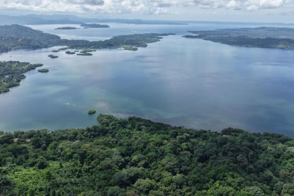 Terreno agrícola de 110 hectáreas frente al mar