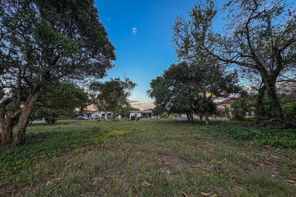 Terreno residencial en venta en la perla, david